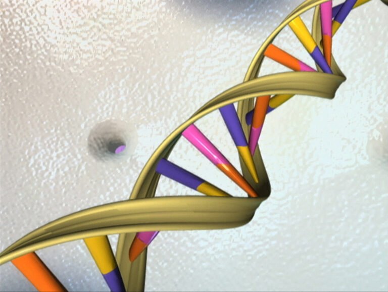 Illustration of a DNA double helix